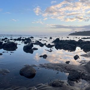 Meet your Posher, Remi